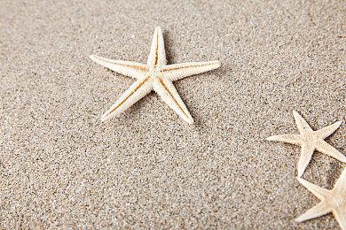 《驱灵者：新伊甸的幽灵》“抉择和后果”预告 2月13日发售